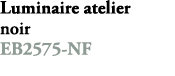 Luminaire atelier noir EB2575 NF
