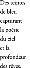 Des teintes de bleu capturant la po sie du ciel et la profondeur des r ves.