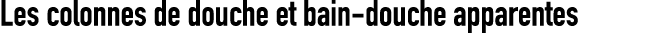Les colonnes de douche et bain douche apparentes 
