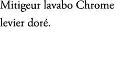 Mitigeur lavabo Chrome levier dor . 